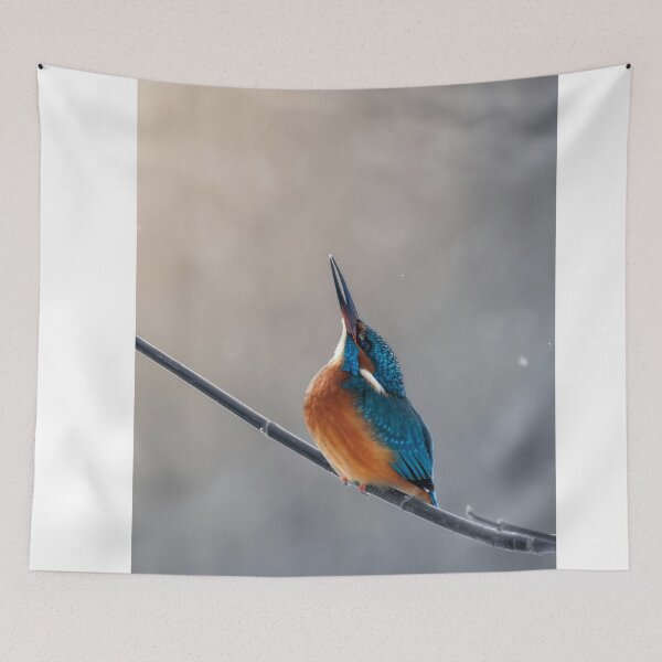Item preview, Common Kingfisher Looking Upward While Perched On Thin Branch designed and sold by Daviean.