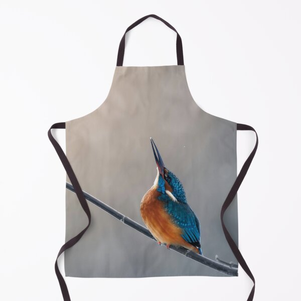 Item preview, Common Kingfisher Looking Upward While Perched On Thin Branch designed and sold by Daviean.