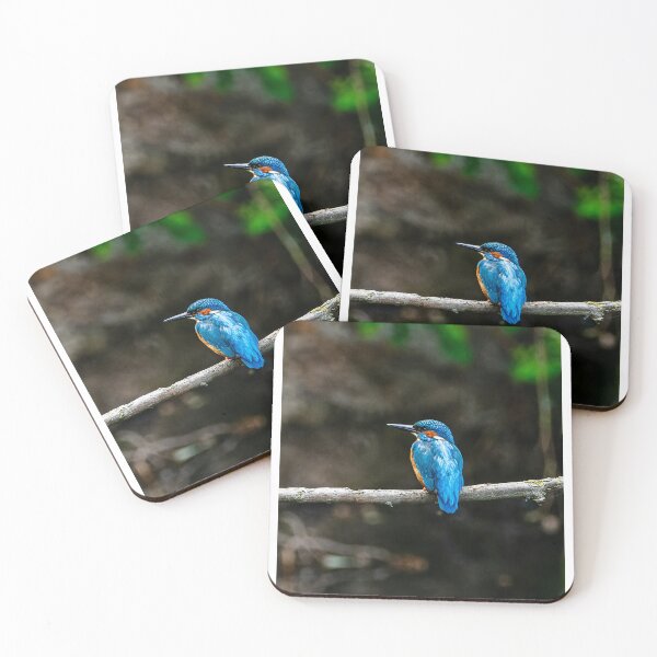 Item preview, Common Kingfisher Resting On Horizontal Tree Branch designed and sold by Foxieri.