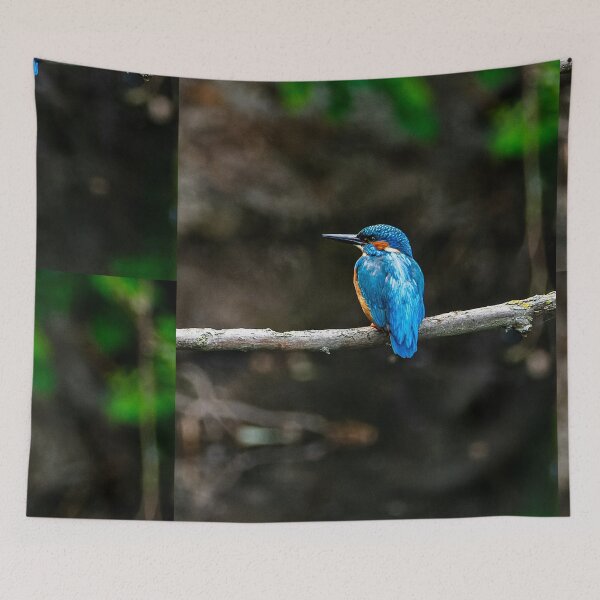 Item preview, Common Kingfisher Resting On Horizontal Tree Branch designed and sold by Foxieri.
