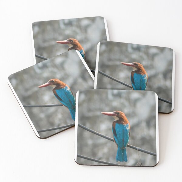 Item preview, White-Throated Kingfisher Perched On Outdoor Cable Wire designed and sold by Foxieri.
