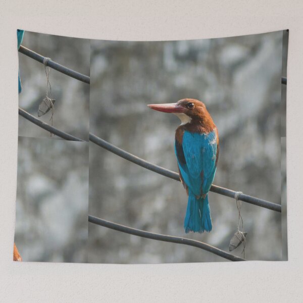 Item preview, White-Throated Kingfisher Perched On Outdoor Cable Wire designed and sold by Foxieri.