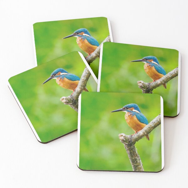 Item preview, Common Kingfisher Perched On Wooden Post Against Green Background designed and sold by Foxieri.
