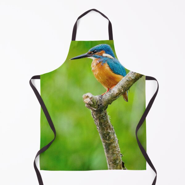 Item preview, Common Kingfisher Perched On Wooden Post Against Green Background designed and sold by Foxieri.