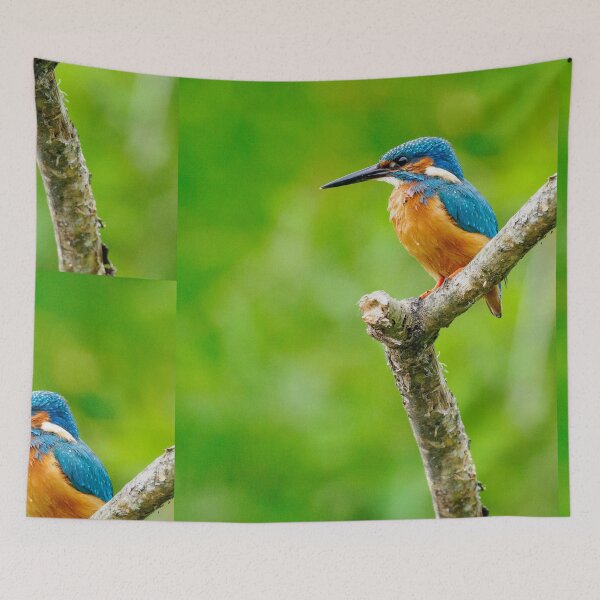Item preview, Common Kingfisher Perched On Wooden Post Against Green Background designed and sold by Foxieri.