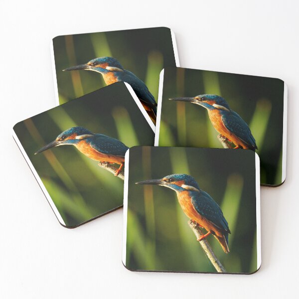 Item preview, Common Kingfisher In Warm Sunlight Perched On Branch designed and sold by Foxieri.