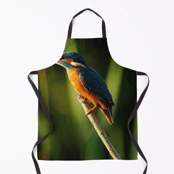 Item preview, Common Kingfisher In Warm Sunlight Perched On Branch designed and sold by Foxieri.