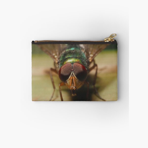 Item preview, Macro View Of Spot-Eyed Hoverfly Perched On Plant Leaf designed and sold by annendho.
