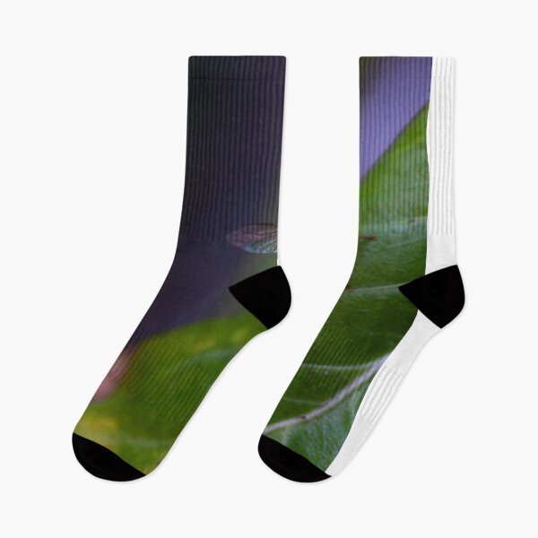 Item preview, Spot-Eyed Hoverfly Clinging To Green Fern Leaves designed and sold by annendho.