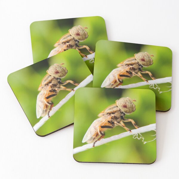 Item preview, Side View Profile Of Spot-Eyed Hoverfly On Branch designed and sold by annendho.