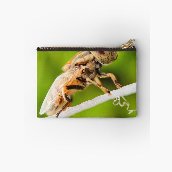 Item preview, Side View Profile Of Spot-Eyed Hoverfly On Branch designed and sold by annendho.