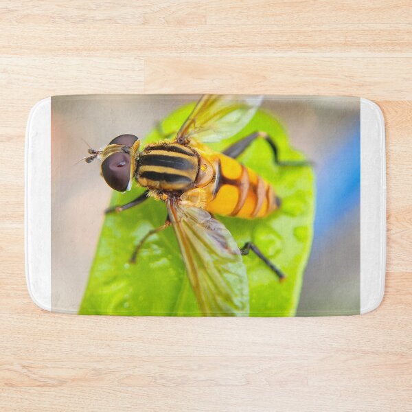 Item preview, Yellow Striped Hoverfly Resting On Wet Green Leaf designed and sold by annendho.