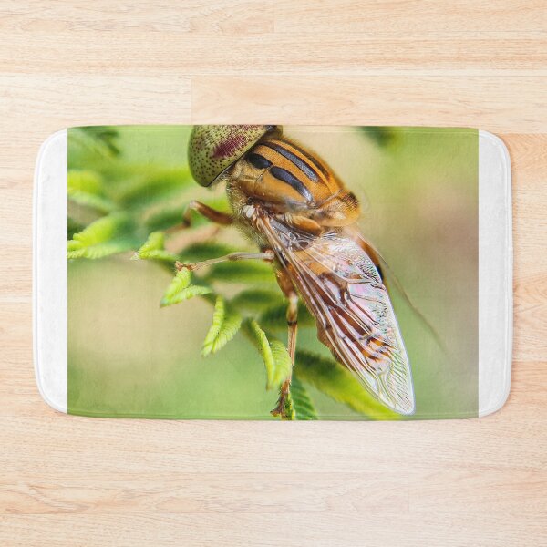Item preview, Spot-Eyed Hoverfly Clinging To Green Fern Leaves designed and sold by annendho.