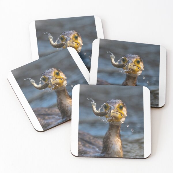 Item preview, Cormorant Catching Fish with Splash designed and sold by wildframe-color.