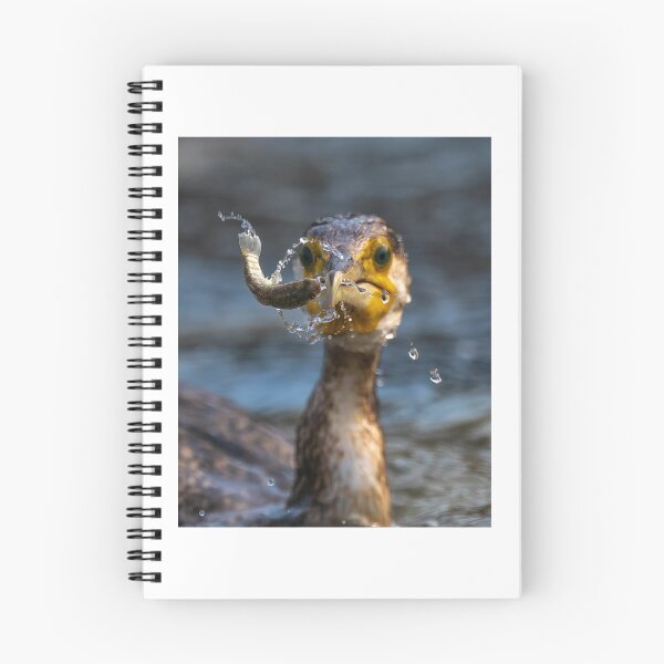 Item preview, Cormorant Catching Fish with Splash designed and sold by wildframe-color.