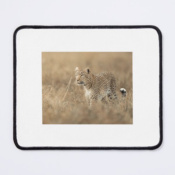 Item preview, Leopard Standing in Dry Grass designed and sold by wildframe-color.