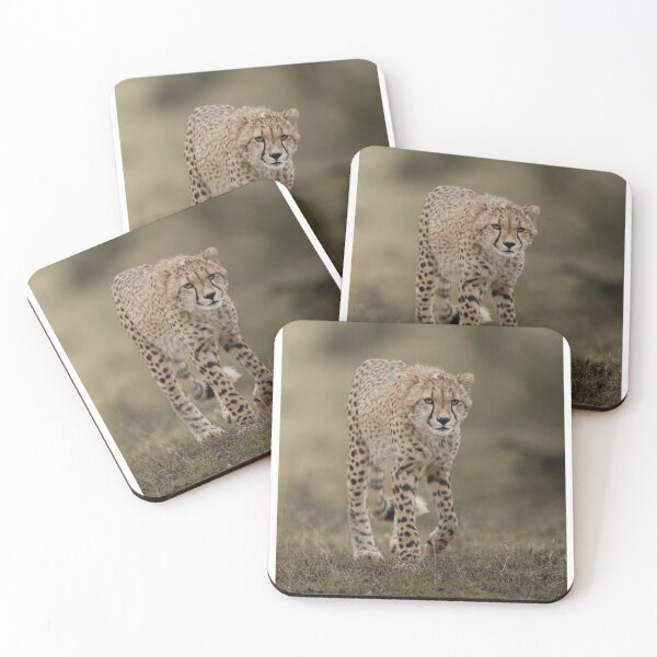 Item preview, Focused Cheetah Walking in Grassland designed and sold by wildframe-color.