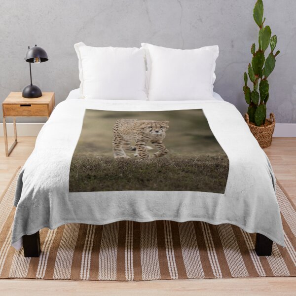 Item preview, Focused Cheetah Walking in Grassland designed and sold by wildframe-color.