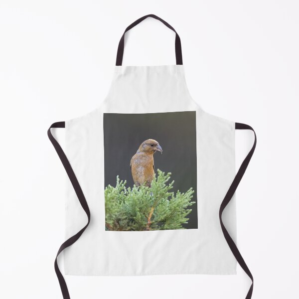 Item preview, Brown Grosbeak Perched on Evergreen Branch designed and sold by wildframe-color.