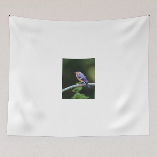 Item preview, Bullfinch Perched on Branch in Natural Setting designed and sold by wildframe-color.