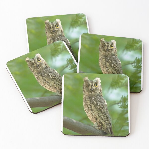 Item preview, Winking Eastern Screech Owl on Tree Branch designed and sold by wildframe-color.