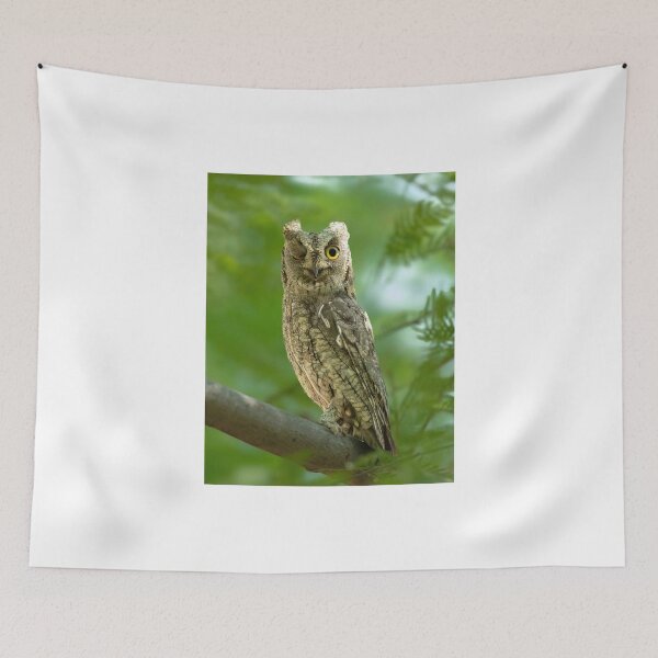 Item preview, Winking Eastern Screech Owl on Tree Branch designed and sold by wildframe-color.