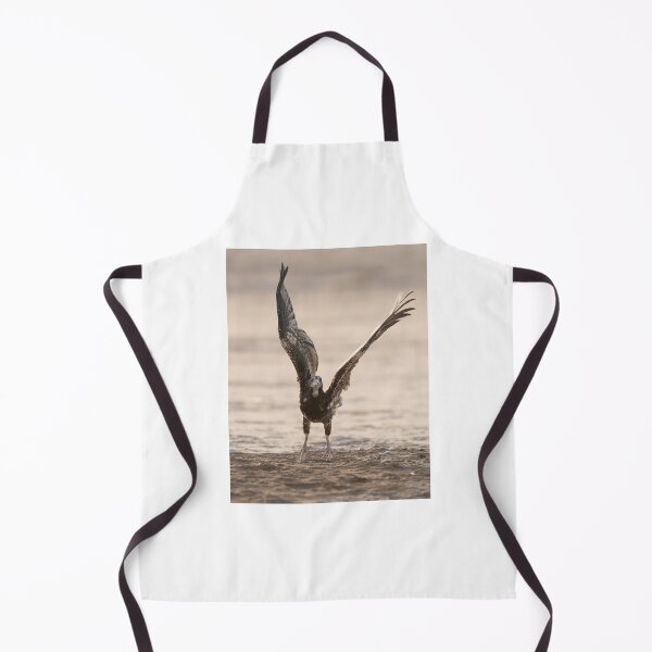 Item preview, Juvenile Eagle Taking Flight designed and sold by wildframe-color.