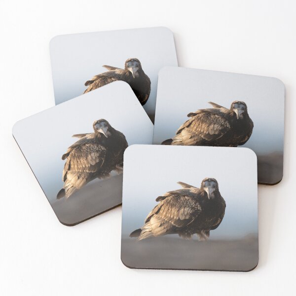 Item preview, Majestic Raptor in Soft Light designed and sold by wildframe-color.