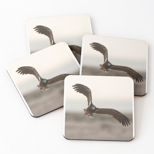 Item preview, Soaring Black Vulture in Flight designed and sold by wildframe-color.