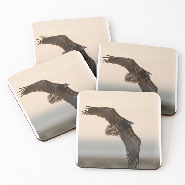 Item preview, Soaring Bird of Prey in Flight designed and sold by wildframe-color.
