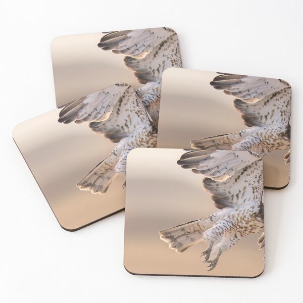 Item preview, Detailed Raptor in Flight designed and sold by wildframe-color.