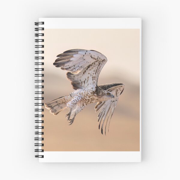 Item preview, Majestic Hawk in Mid-Flight designed and sold by wildframe-color.