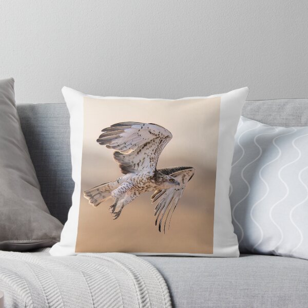 Item preview, Majestic Hawk in Mid-Flight designed and sold by wildframe-color.