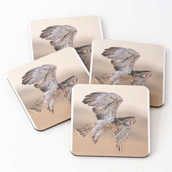 Item preview, Majestic Hawk in Mid-Flight designed and sold by wildframe-color.