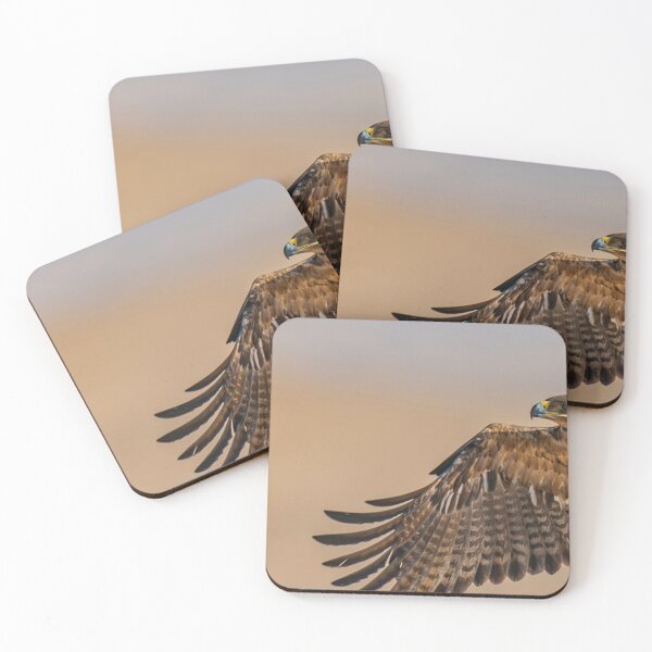 Item preview, Golden Eagle in Flight Close-Up designed and sold by wildframe-color.