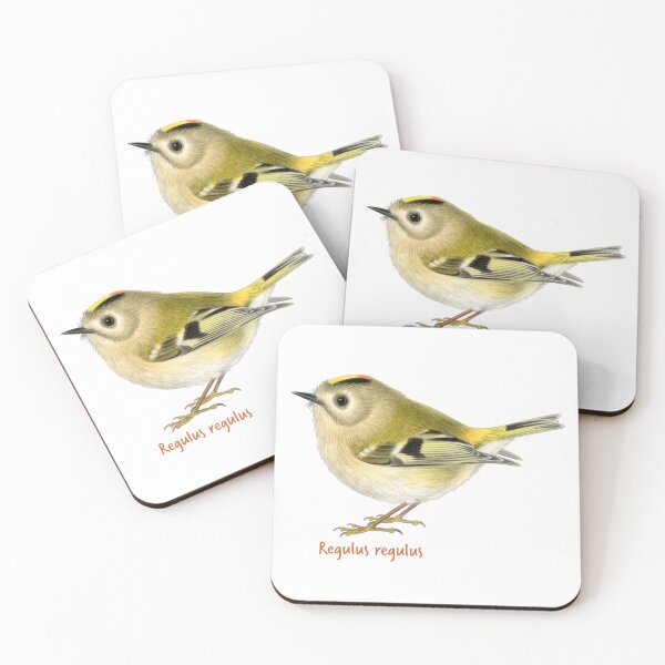 Item preview, Goldcrest Bird – Natural History Illustration designed and sold by Litely.