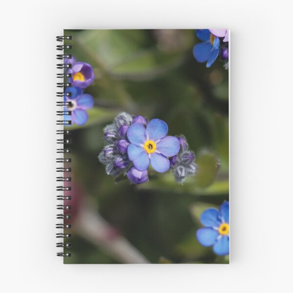 Item preview, Flowers of an alpine forget-me-not  designed and sold by Zosimus.