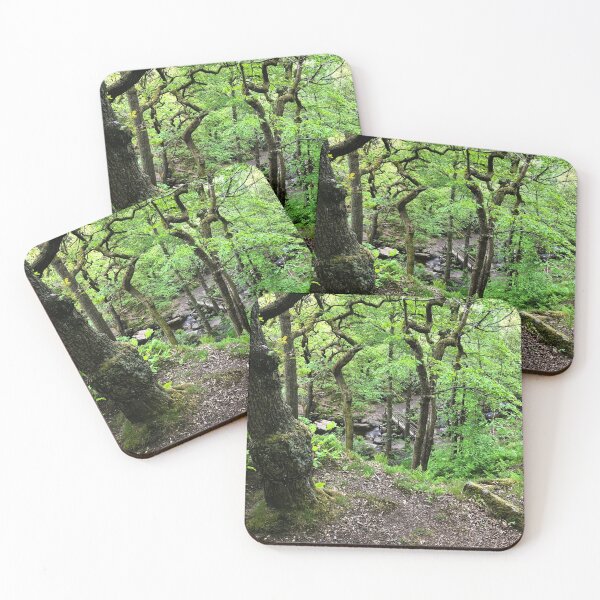 Item preview, Secret Woodland Stream and Hidden Footbridge designed and sold by Astute-Artio-Photography.