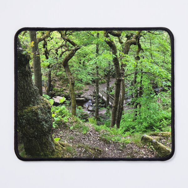 Item preview, Secret Woodland Stream and Hidden Footbridge designed and sold by Astute-Artio-Photography.