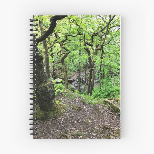 Item preview, Secret Woodland Stream and Hidden Footbridge designed and sold by Astute-Artio-Photography.