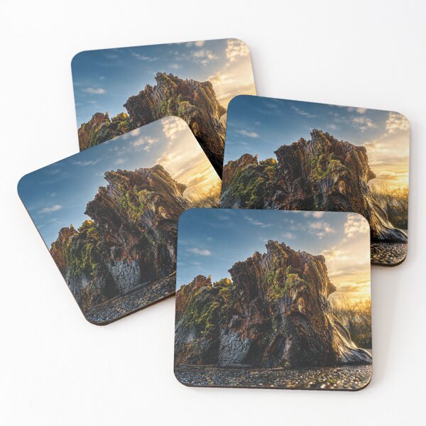 Item preview, Tree Stump at Sunset  designed and sold by Astute-Artio-Photography.