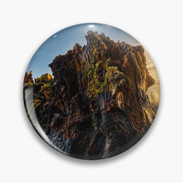 Item preview, Tree Stump at Sunset  designed and sold by Astute-Artio-Photography.