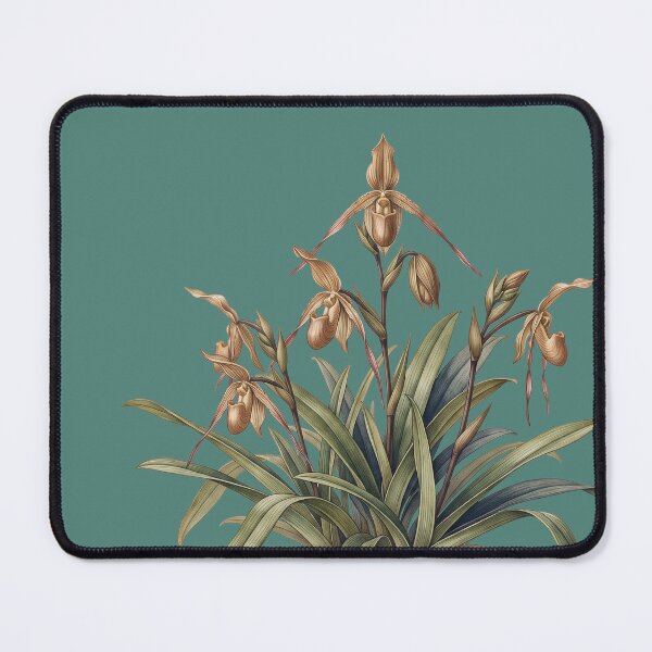 Item preview, Phragmipedium Longifolium: Antique Slipper Orchid Print designed and sold by FreiherrPK.