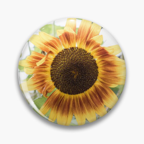 Item preview, Summer Garden with Sunflower Bloom in Warm Yellow and Rufous Red designed and sold by Georgia Mizuleva.