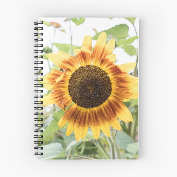 Item preview, Summer Garden with Sunflower Bloom in Warm Yellow and Rufous Red designed and sold by Georgia Mizuleva.