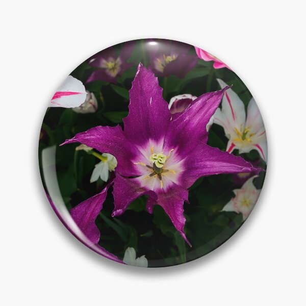 Item preview, Tulip Collection designed and sold by Eidetic Photos.