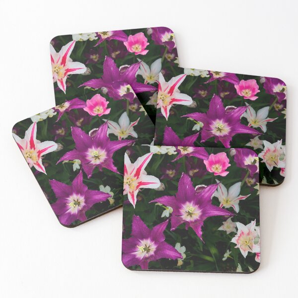 Item preview, Tulip Collection designed and sold by Eidetic Photos.