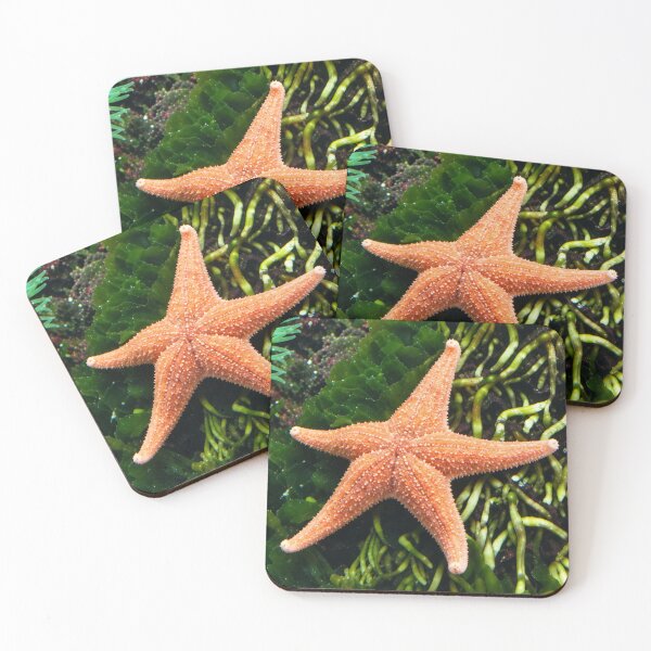 Item preview, Vibrant Orange Starfish designed and sold by Astute-Artio-Photography.