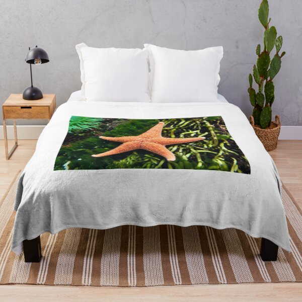Item preview, Vibrant Orange Starfish designed and sold by Astute-Artio-Photography.
