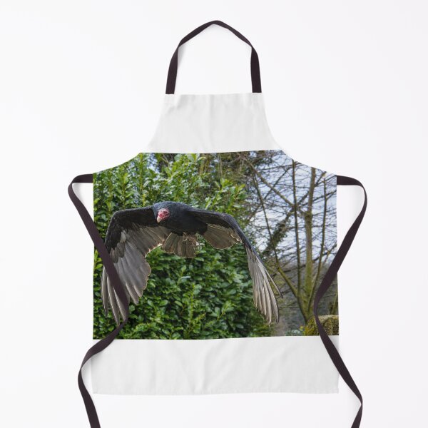 Item preview, Turkey Vulture in Mid-Flight designed and sold by Astute-Artio-Photography.